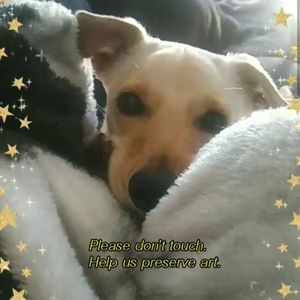 Meet your Posher, Abbey